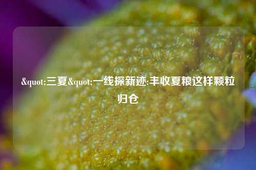 "三夏"一线探新迹:丰收夏粮这样颗粒归仓