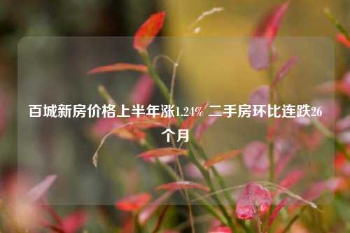 百城新房价格上半年涨1.24% 二手房环比连跌26个月