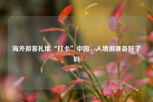 海外游客扎堆“打卡”中国，入境游准备好了吗