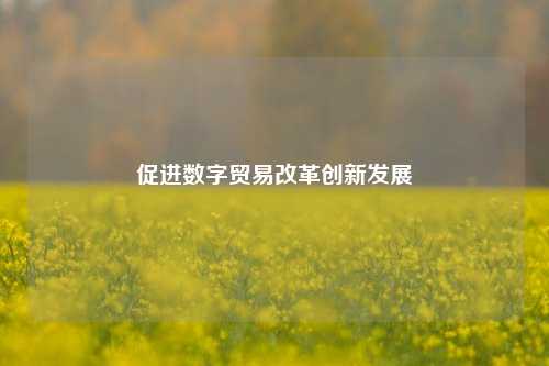 促进数字贸易改革创新发展