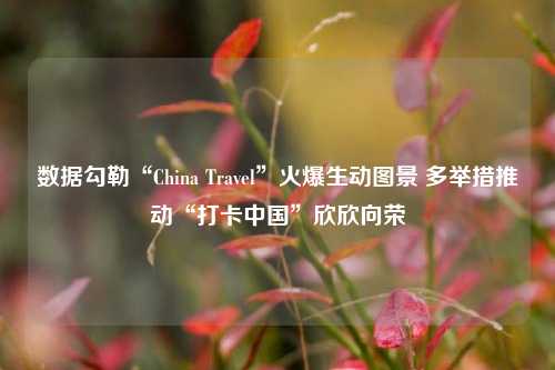 数据勾勒“China Travel”火爆生动图景 多举措推动“打卡中国”欣欣向荣