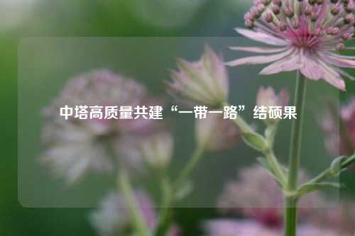 中塔高质量共建“一带一路”结硕果