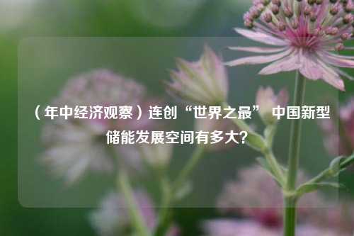 （年中经济观察）连创“世界之最” 中国新型储能发展空间有多大？