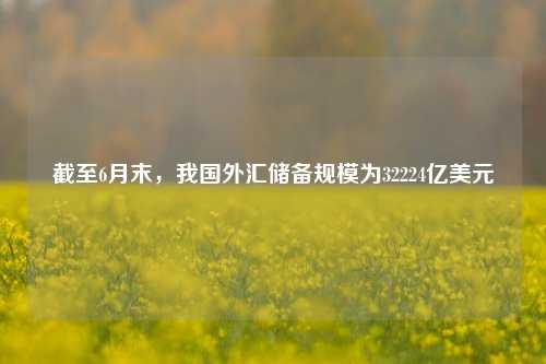 截至6月末，我国外汇储备规模为32224亿美元