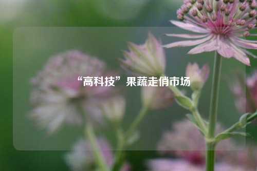 “高科技”果蔬走俏市场