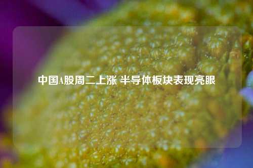 中国A股周二上涨 半导体板块表现亮眼