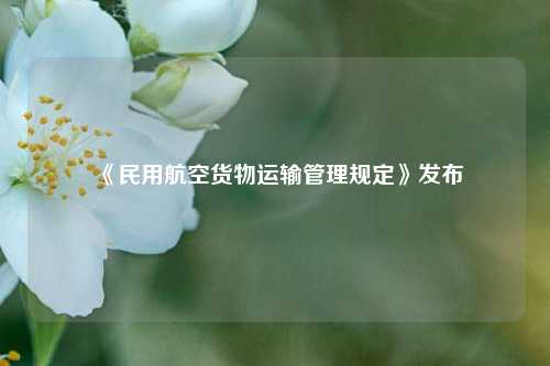 《民用航空货物运输管理规定》发布