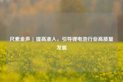 尺素金声 | 提高准入，引导锂电池行业高质量发展