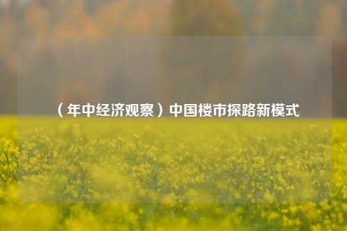 （年中经济观察）中国楼市探路新模式