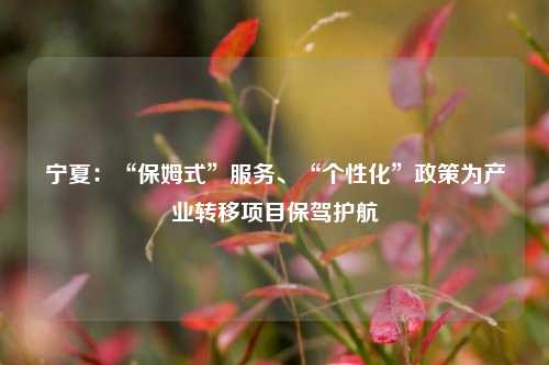 宁夏：“保姆式”服务、“个性化”政策为产业转移项目保驾护航