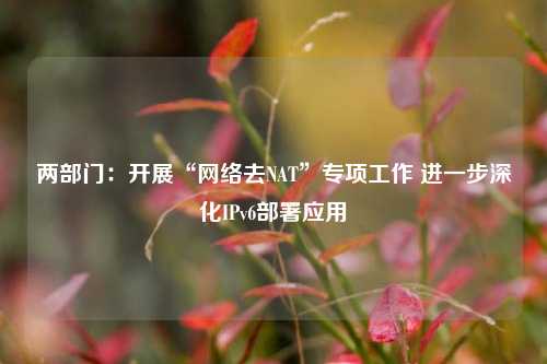 两部门：开展“网络去NAT”专项工作 进一步深化IPv6部署应用