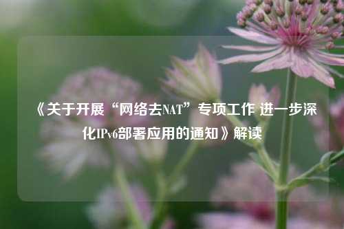 《关于开展“网络去NAT”专项工作 进一步深化IPv6部署应用的通知》解读