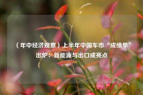 （年中经济观察）上半年中国车市“成绩单”出炉：新能源与出口成亮点