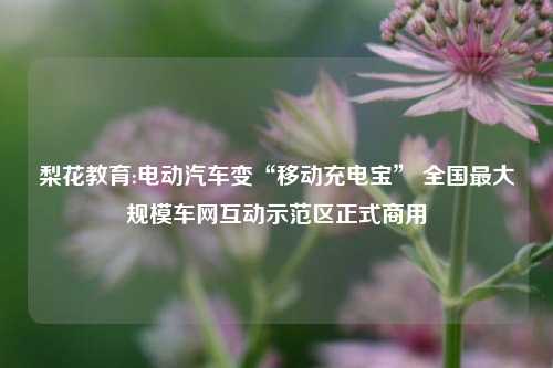梨花教育:电动汽车变“移动充电宝” 全国最大规模车网互动示范区正式商用