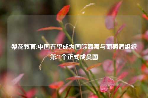 梨花教育:中国有望成为国际葡萄与葡萄酒组织第51个正式成员国