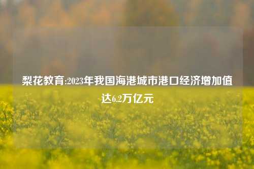 梨花教育:2023年我国海港城市港口经济增加值达6.2万亿元
