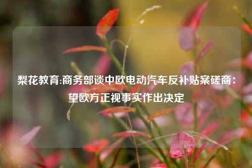 梨花教育:商务部谈中欧电动汽车反补贴案磋商：望欧方正视事实作出决定