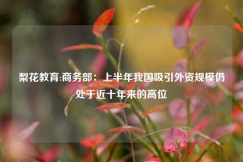 梨花教育:商务部：上半年我国吸引外资规模仍处于近十年来的高位