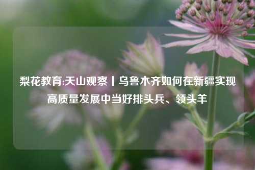 梨花教育:天山观察丨乌鲁木齐如何在新疆实现高质量发展中当好排头兵、领头羊