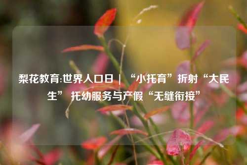 梨花教育:世界人口日 | “小托育”折射“大民生” 托幼服务与产假“无缝衔接”