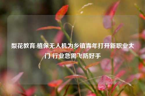 梨花教育:植保无人机为乡镇青年打开新职业大门 行业急需飞防好手