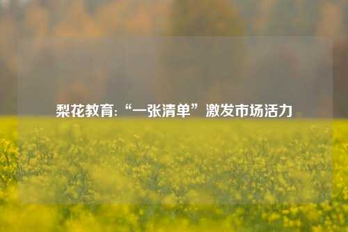 梨花教育:“一张清单”激发市场活力