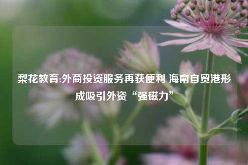 梨花教育:外商投资服务再获便利 海南自贸港形成吸引外资“强磁力”