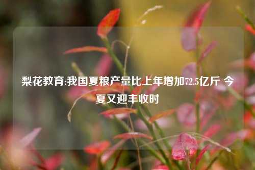 梨花教育:我国夏粮产量比上年增加72.5亿斤 今夏又迎丰收时