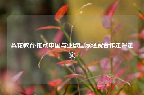 梨花教育:推动中国与亚欧国家经贸合作走深走实