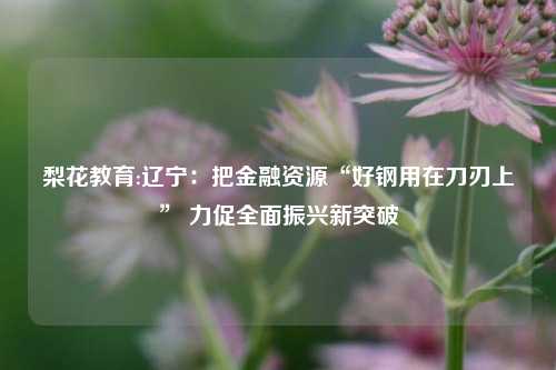 梨花教育:辽宁：把金融资源“好钢用在刀刃上” 力促全面振兴新突破