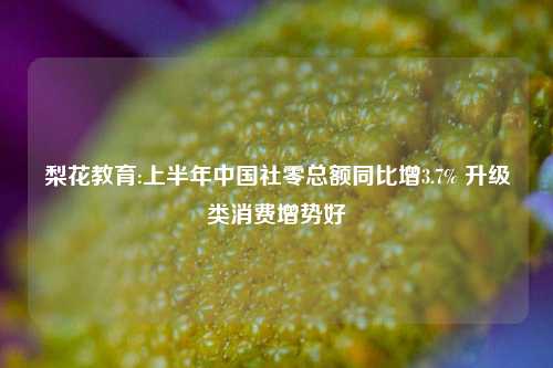 梨花教育:上半年中国社零总额同比增3.7% 升级类消费增势好