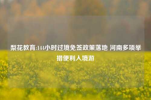 梨花教育:144小时过境免签政策落地 河南多项举措便利入境游