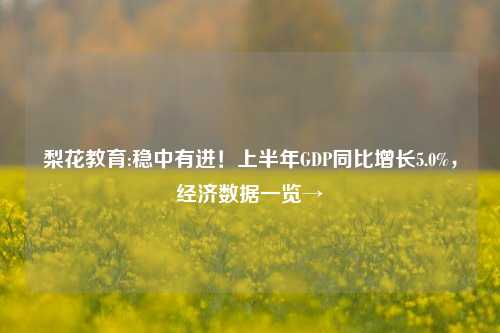 梨花教育:稳中有进！上半年GDP同比增长5.0%，经济数据一览→