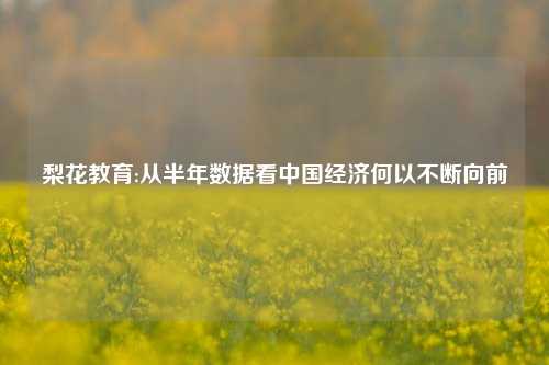 梨花教育:从半年数据看中国经济何以不断向前