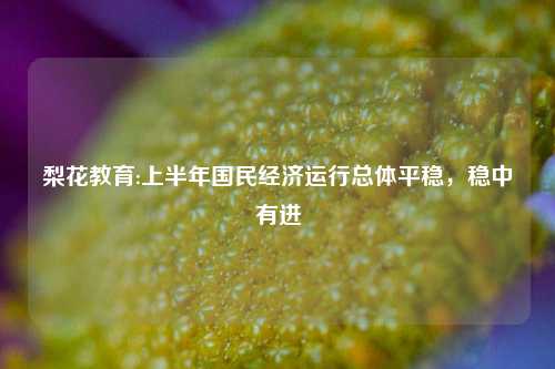 梨花教育:上半年国民经济运行总体平稳，稳中有进