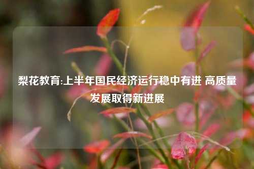 梨花教育:上半年国民经济运行稳中有进 高质量发展取得新进展