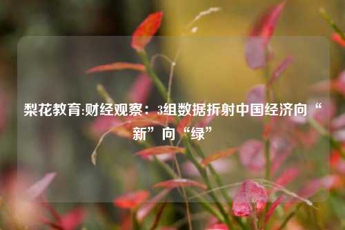 梨花教育:财经观察：3组数据折射中国经济向“新”向“绿”