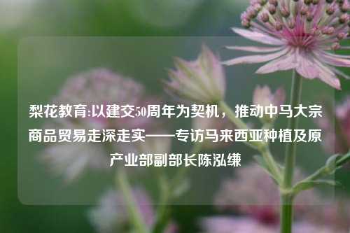 梨花教育:以建交50周年为契机，推动中马大宗商品贸易走深走实——专访马来西亚种植及原产业部副部长陈泓缣