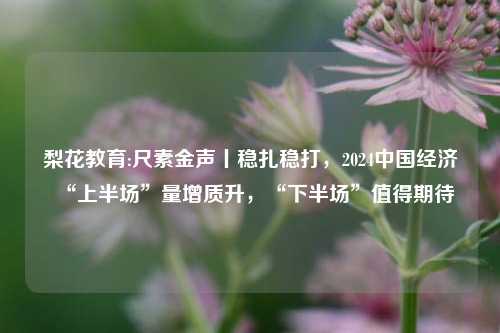 梨花教育:尺素金声丨稳扎稳打，2024中国经济“上半场”量增质升，“下半场”值得期待