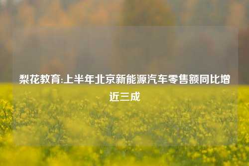 梨花教育:上半年北京新能源汽车零售额同比增近三成