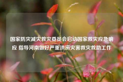 国家防灾减灾救灾委员会启动国家救灾应急响应 指导河南做好严重洪涝灾害救灾救助工作