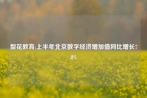 梨花教育:上半年北京数字经济增加值同比增长7.8%