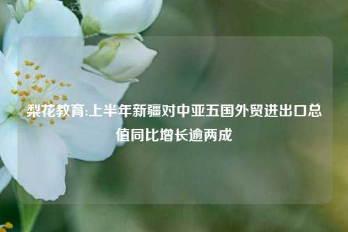 梨花教育:上半年新疆对中亚五国外贸进出口总值同比增长逾两成