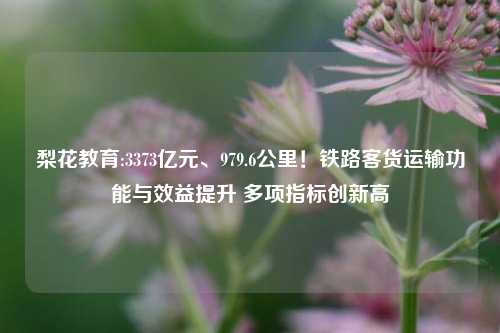 梨花教育:3373亿元、979.6公里！铁路客货运输功能与效益提升 多项指标创新高