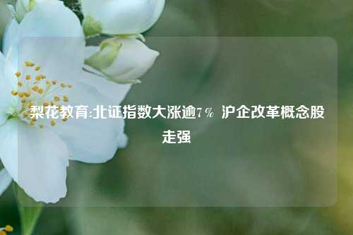 梨花教育:北证指数大涨逾7％ 沪企改革概念股走强