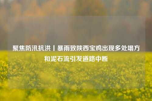 聚焦防汛抗洪丨暴雨致陕西宝鸡出现多处塌方和泥石流引发道路中断