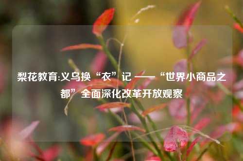 梨花教育:义乌换“衣”记 ——“世界小商品之都”全面深化改革开放观察