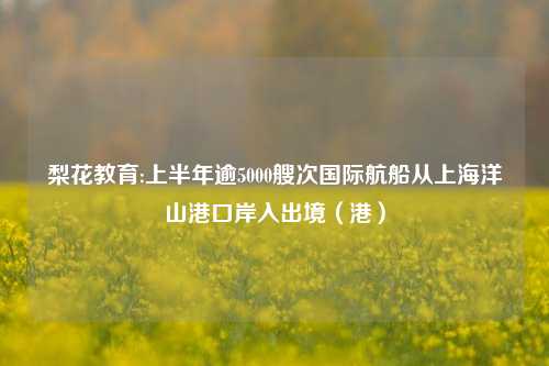 梨花教育:上半年逾5000艘次国际航船从上海洋山港口岸入出境（港）