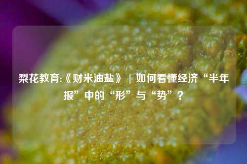 梨花教育:《财米油盐》 | 如何看懂经济“半年报”中的“形”与“势”？