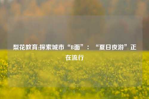 梨花教育:探索城市“B面”：“夏日夜游”正在流行